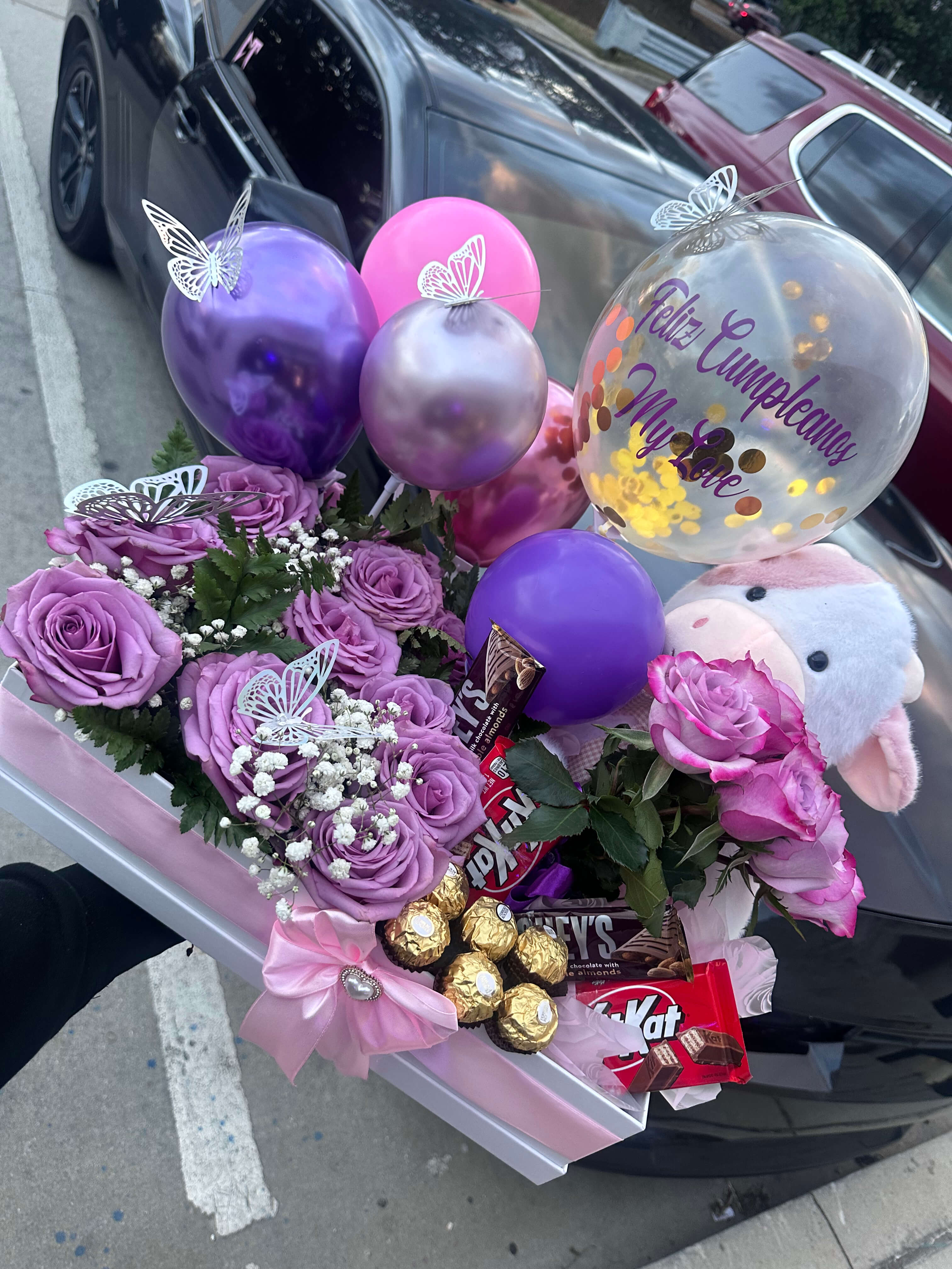 Vaquita Love Box