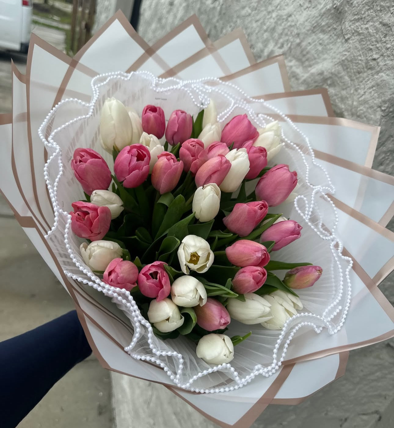 Tulips world