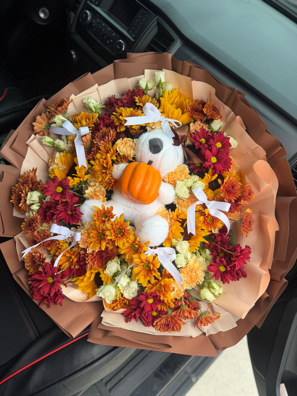 Fall-in for Snoopy